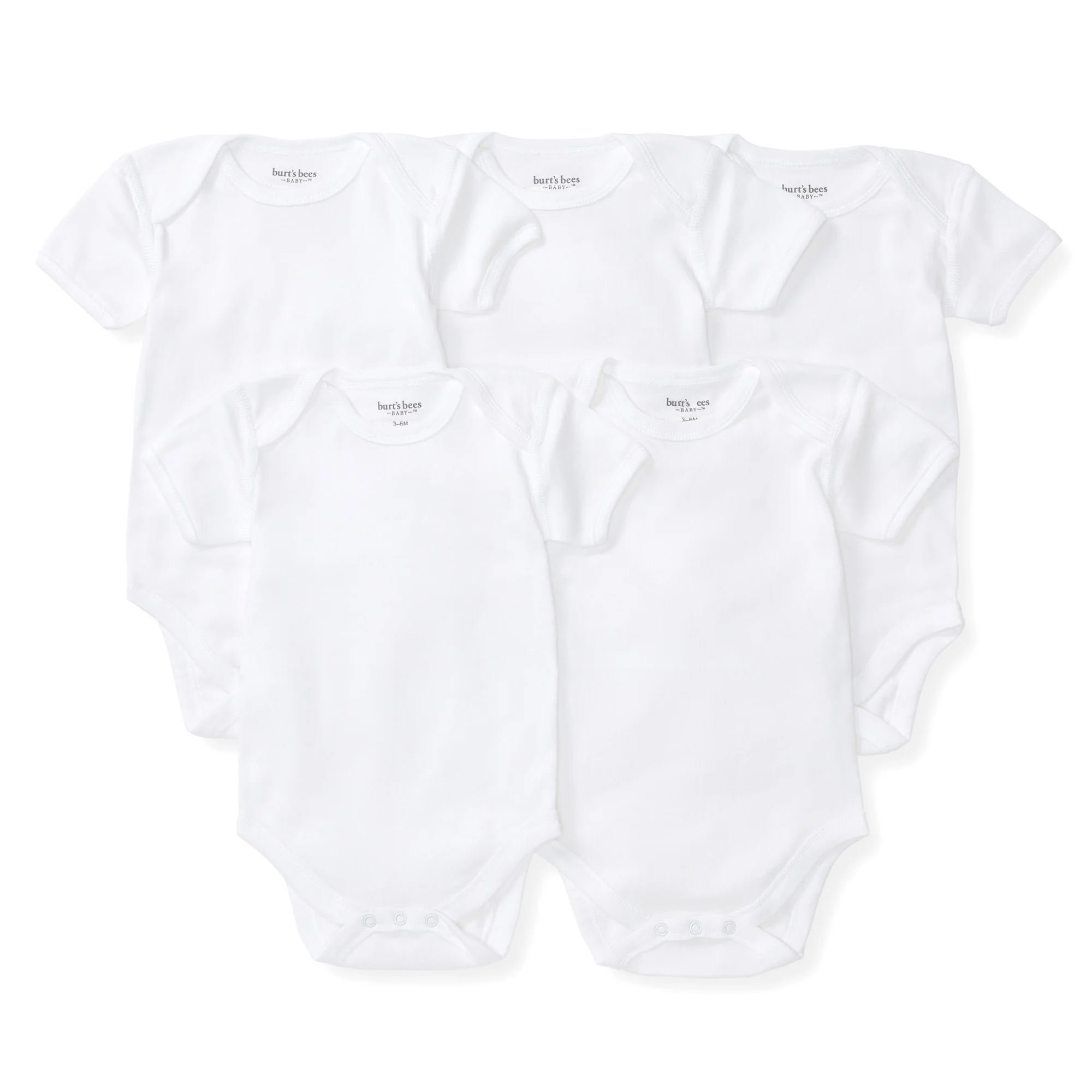 Bee Essentials Organic Short Sleeve Baby Bodysuit 5 Pack